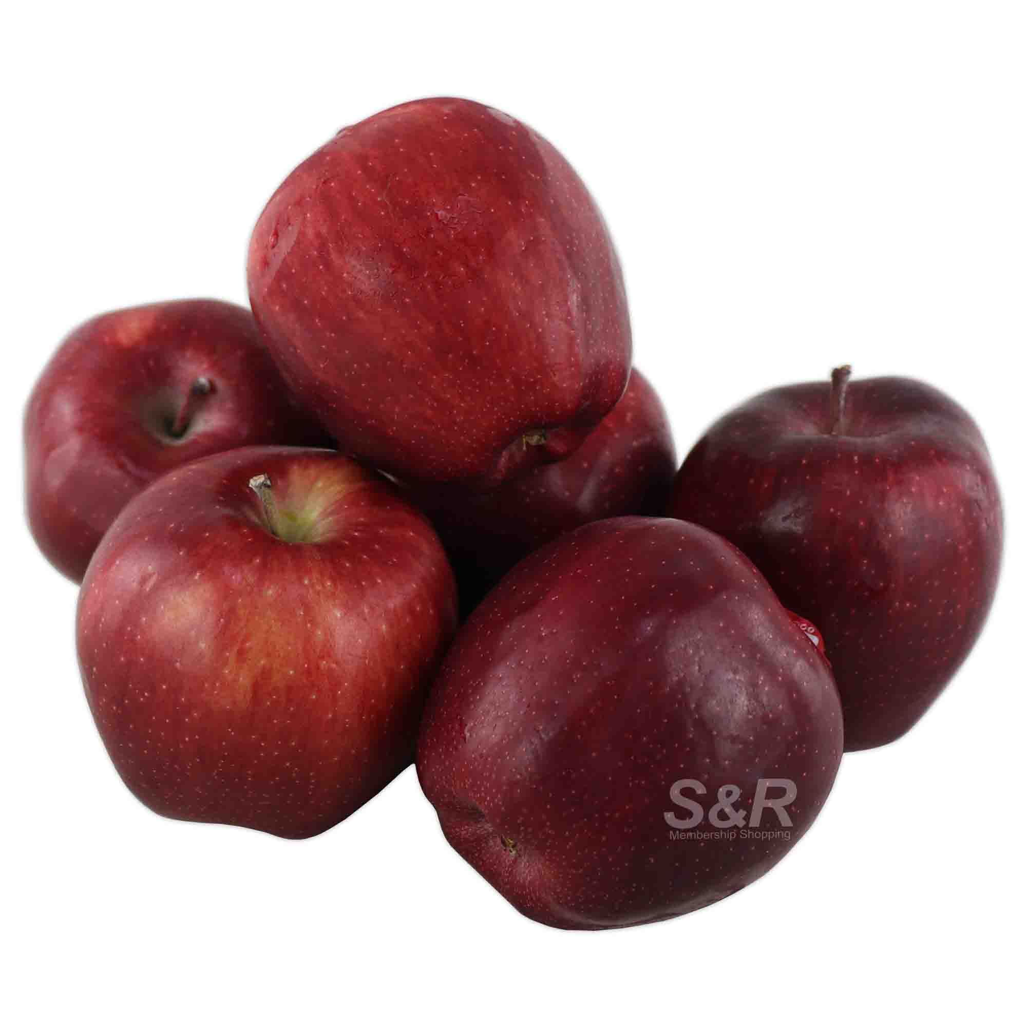 S&R Washington Apple 6pcs